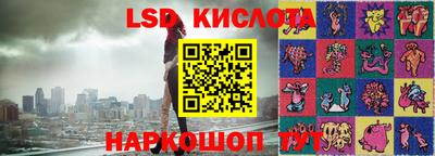 твердый Кингисепп