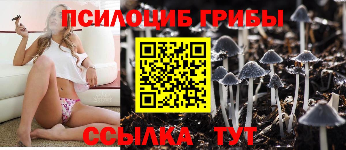 Котлас  Псилоцибиновые грибы Psilocybine cubensis  Псилоцибиновые грибы Psilocybe  Вход с VPN 