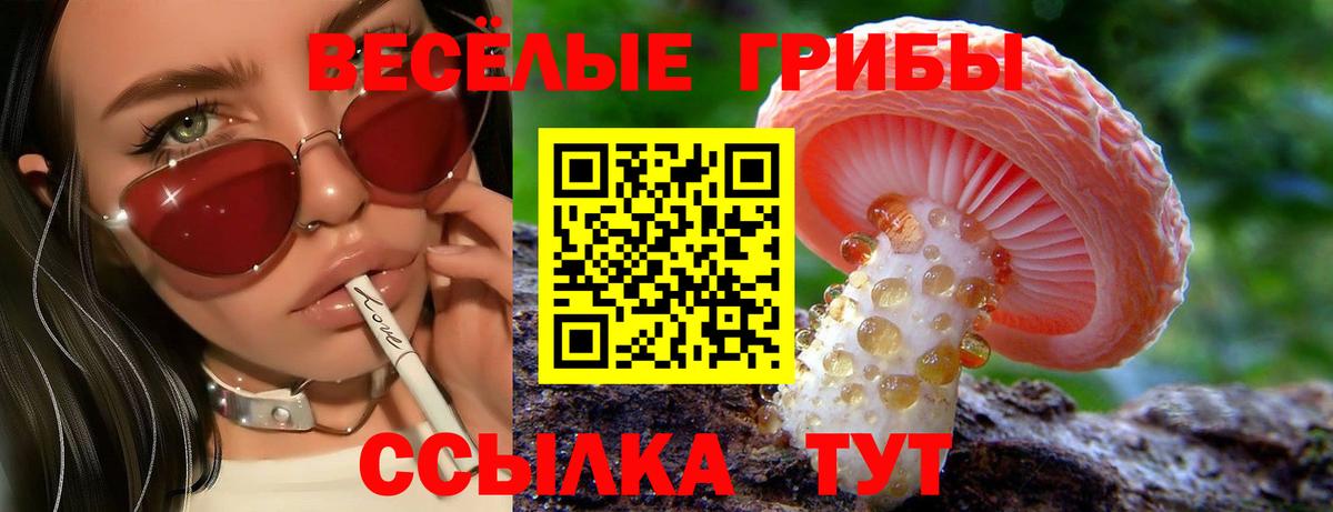Как найти наркотики?  МЕФ  Котлас  КОКАИН  Мефедрон кристаллы  ГАШИШ  Вход с VPN 